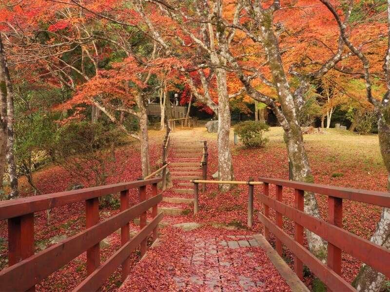 Yumoto Ueyama Ryokan 姬路 外观 照片