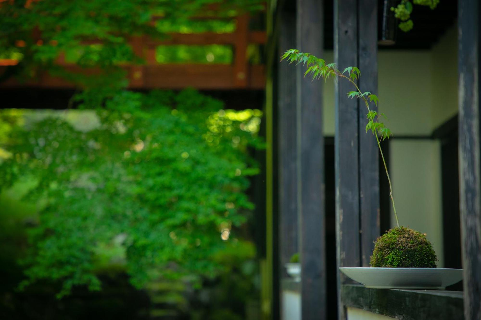 Yumoto Ueyama Ryokan 姬路 外观 照片
